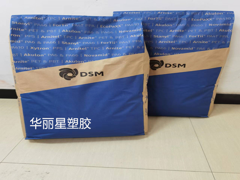 DSM帝斯曼PA6
